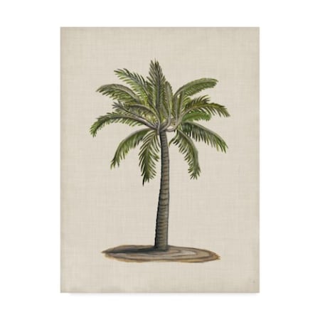 Naomi Mccavitt 'British Palms I' Canvas Art,18x24